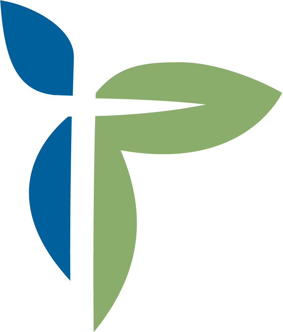 Christian Family Solutions Logo